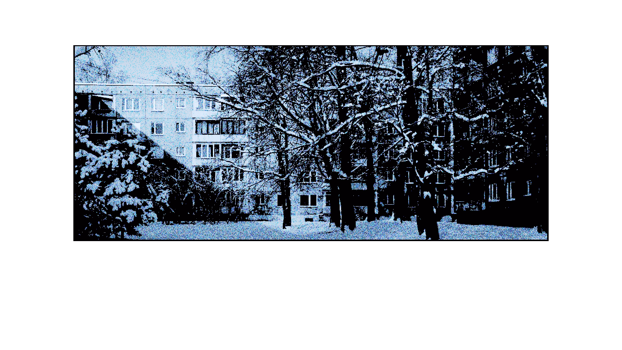 dvor