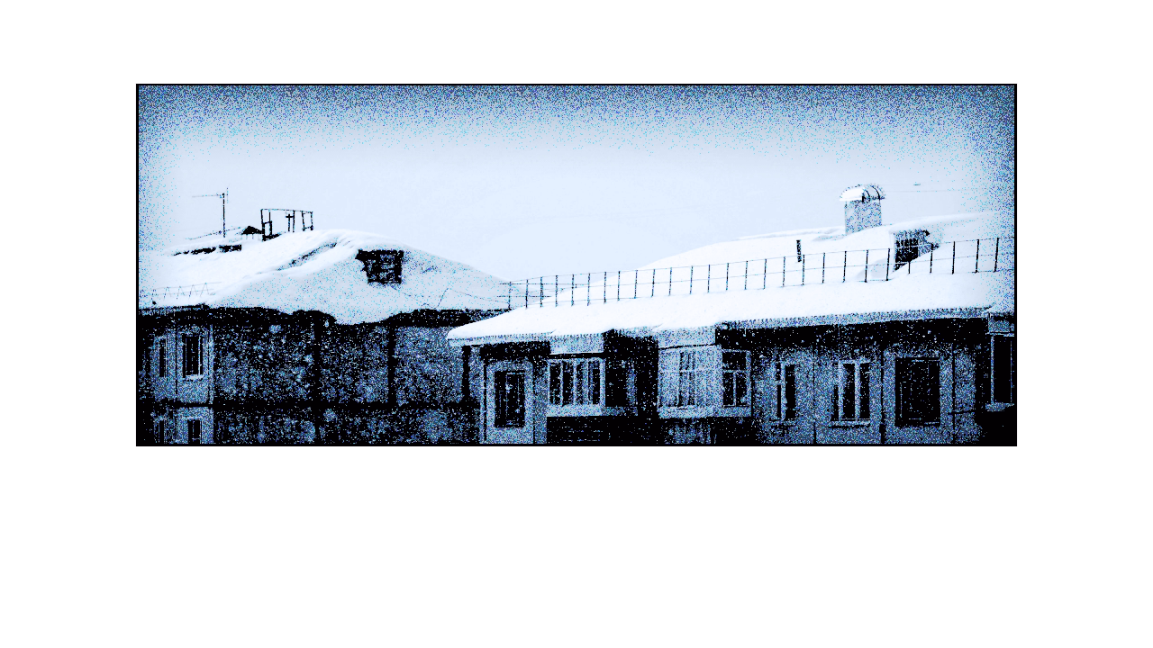 roofs