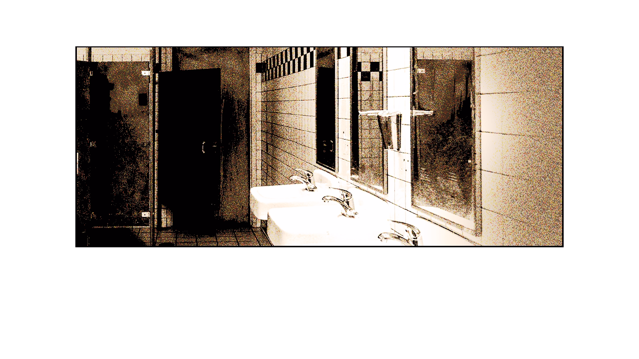 toilet_girls